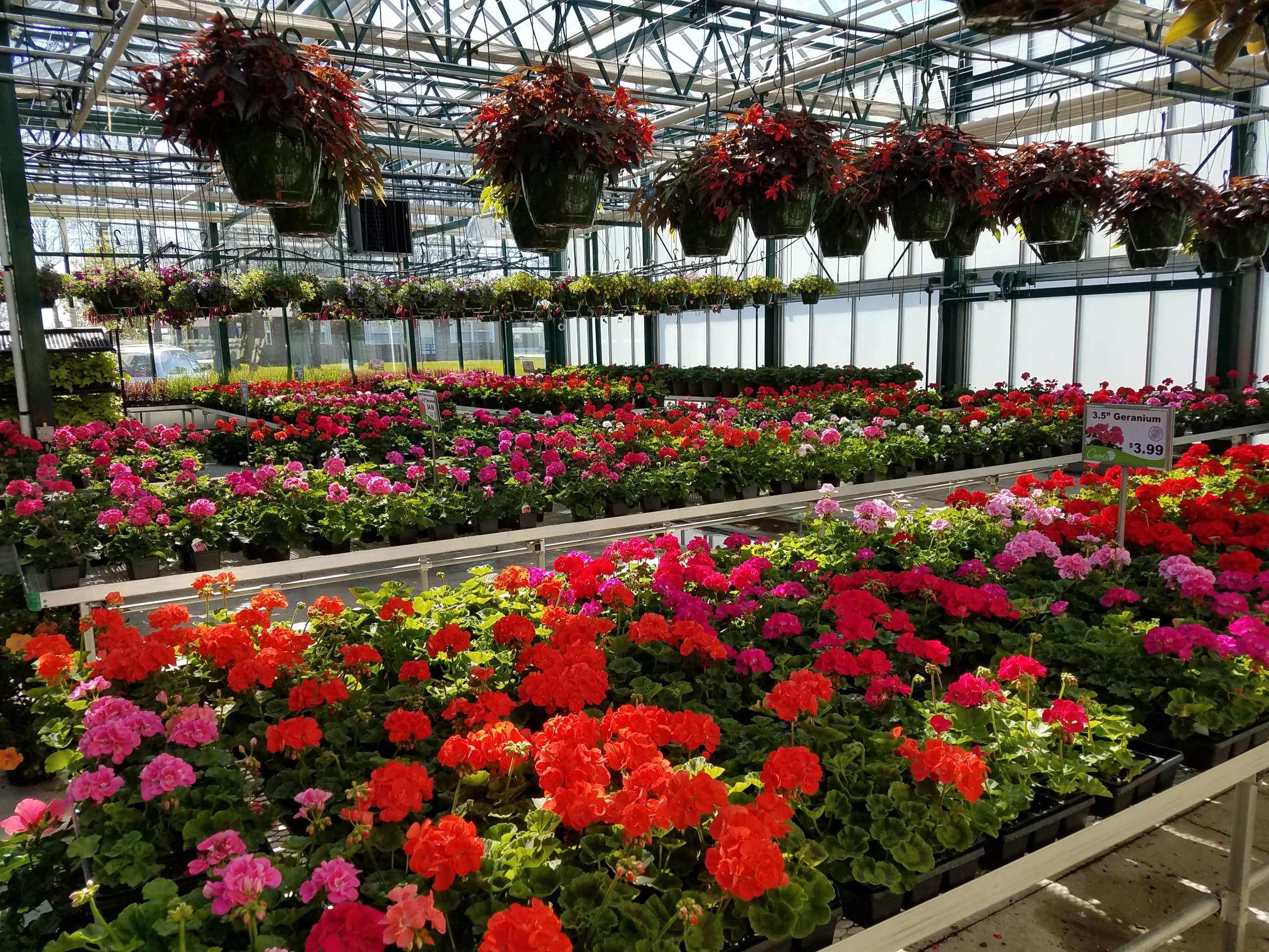 The Greenhouse - Caan Floral & Greenhouses